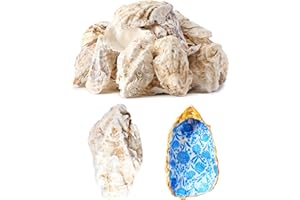 LETRAVAGANCE 30Pcs Extra Large Oyster Shells for Crafts （ 5"-6"） , Oyster Shell for Crafting， Seashells for Crafts、Painting、Wedding、Christmas、Beach Theme Decor， and Clean、Odor-Free Sea Shells for Crafting