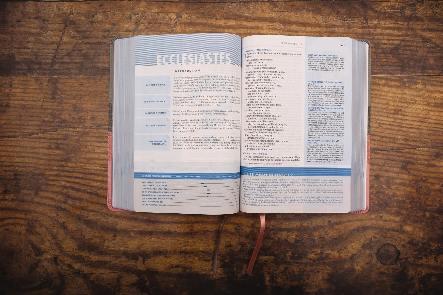 NIV, Quest Study Bible, Leathersoft, Gray/Pink, Comfort Print: The Only Q and A Study Bible NIV, Quest Study Bible, Leathersoft, Gray/Pink, Comfort Print: The Only Q and A Study Bible Imitation Leather