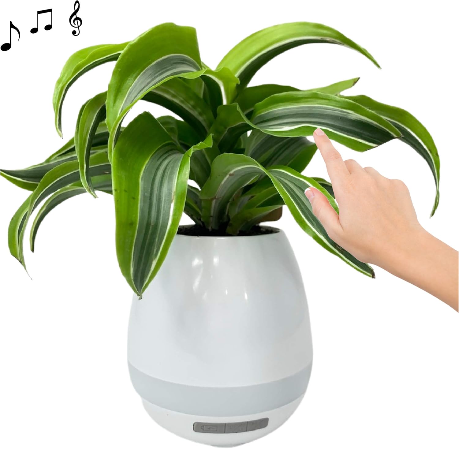 bluetooth pot light speakers