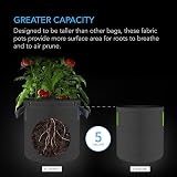 AC Infinity 20L Heavy Duty Fabric Pots 5-Pack for Plant Growth view 3
