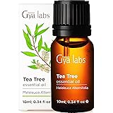 Gya Labs Tea Tree Essential Oil for Skin Care and Hair Care - Topical for Oily Skin, Dry Scalp, Healthy Nails - Diffuse to Pu