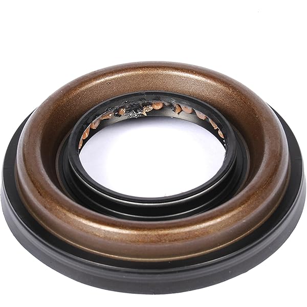 Amazon.com: ACDelco GM Original Equipment 23269748 Differential 