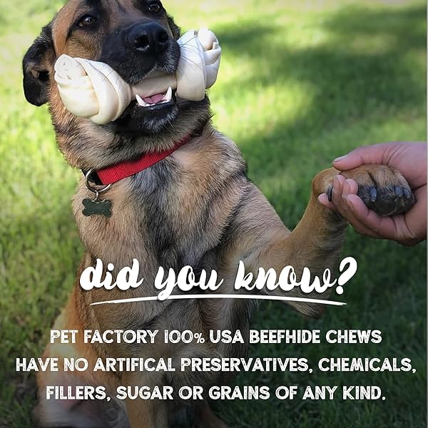 PET FACTORY 100% MADE IN USA BEEFHIDE CHIPS DOG CHEW TREATS – BEEF & CHICKEN FLAVOR, 8 OZ