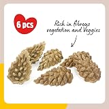 Rosewood Veggie Burst Pinecones Treats for Small Animals 6pc view 2