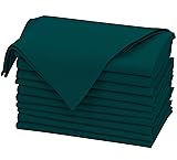 Ruvanti Linen Napkins Set of 12, 18x18 Cloth
