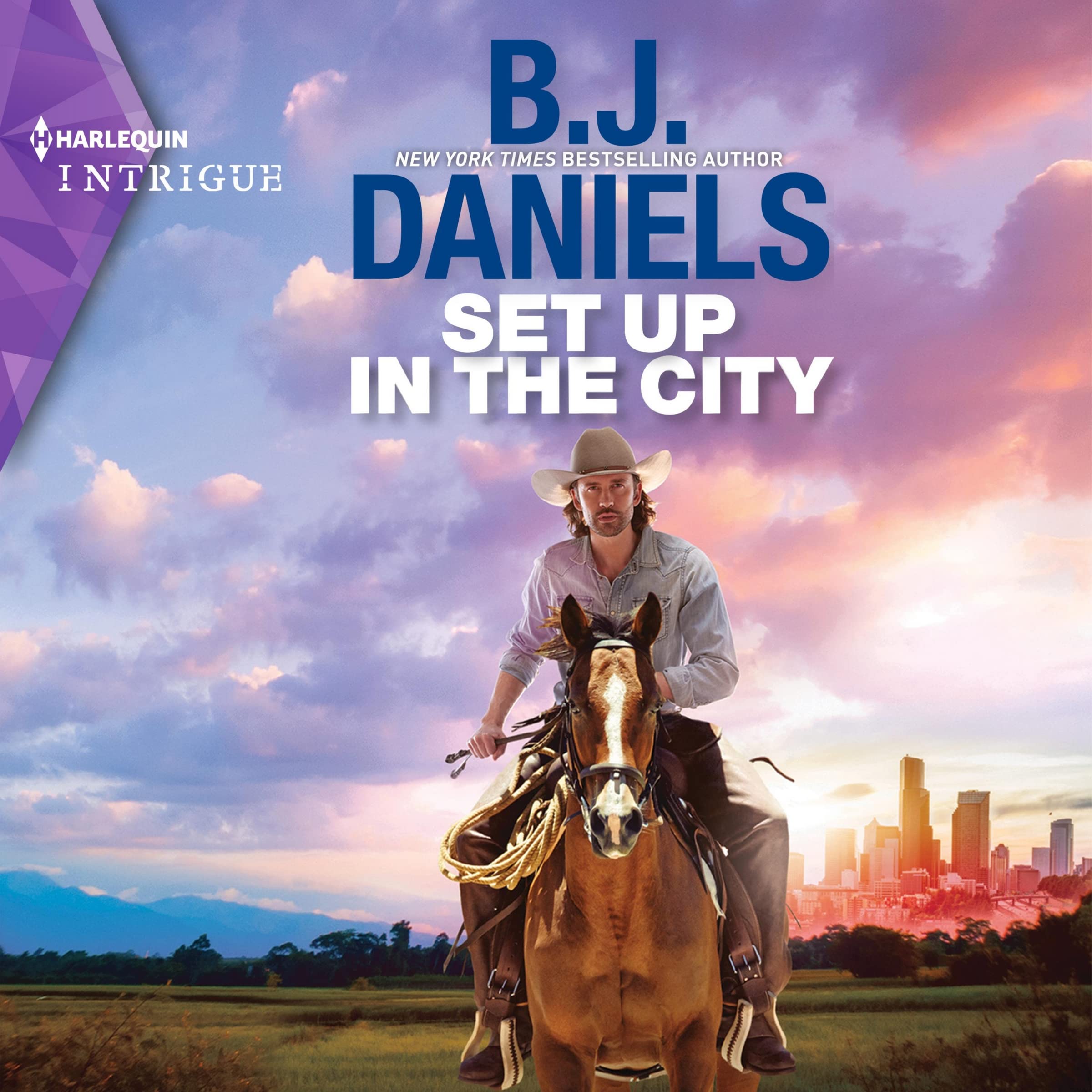Set Up in the City (The Colt Brothers Investigation Series) (Colt Brothers Investigation, 4) Image