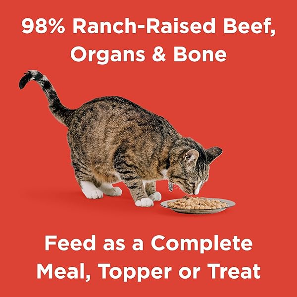 BIXBI RAWBBLE FREEZE DRIED CAT FOOD, BEEF RECIPE, 10 OZ – 97% MEAT AND ORGANS, NO FILLERS – PANTRY-FRIENDLY RAW CAT FOOD FOR MEAL, TREAT OR FOOD TOPPER – USA MADE IN SMALL BATCHES