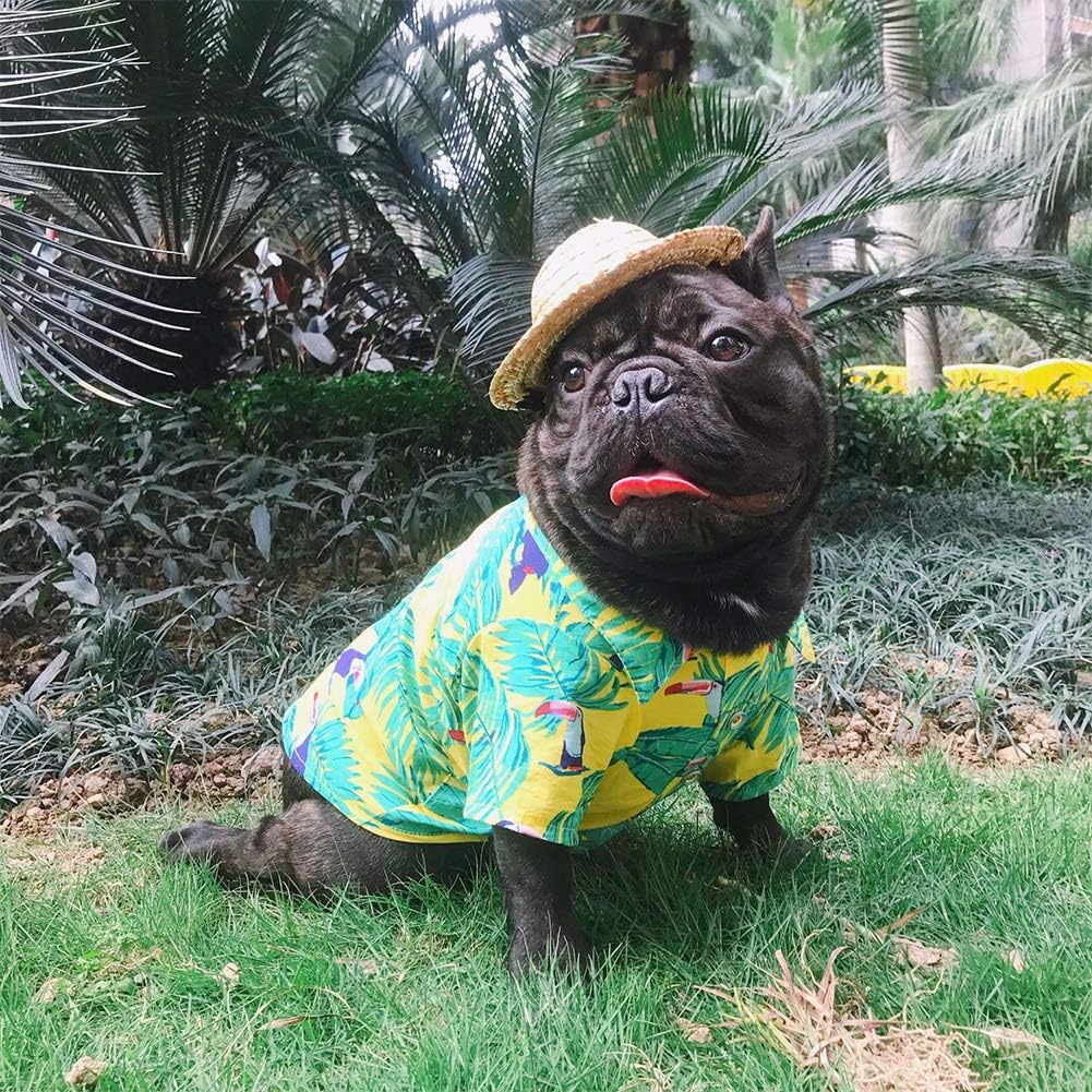 Bella Primavera Estate Catkoo Vestiti per Cane Accessori per Cane Vestito  per Cane Stile Hawaiano Giocattoli per Cane Camicia in Morbido Cotone  Traspirante Abbigliamento e accessori urban-earth.co.uk