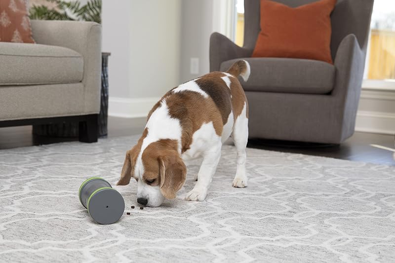 Kibble Chase - Dispensador de Comida e Petiscos para Cães, Brinquedo Interativo Inteligente para Cães, Funcionado a Pilhas, Resistente