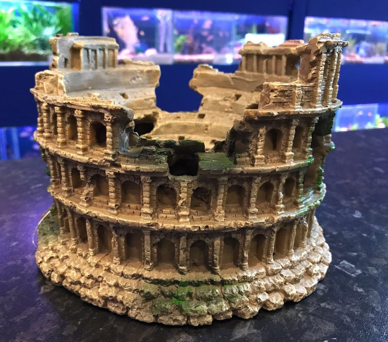 Large Roman Amphitheatre Ruin Fish Tank Aquarium Ornament