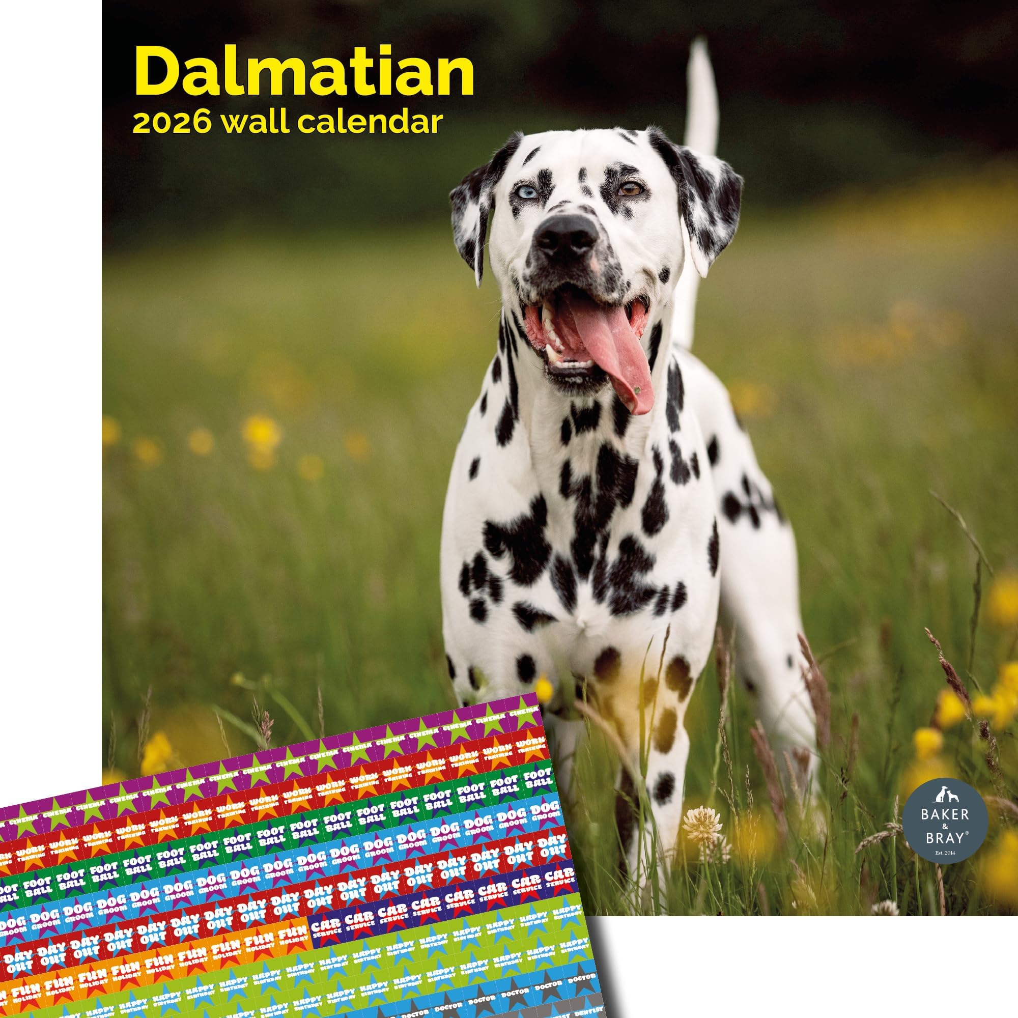 Baker and Bray Dalmatian Calendar 2026, Large Square Wall Calendar With Organisational Stickers, 16 Month, Dalmatian Gift Dog Calendar.
