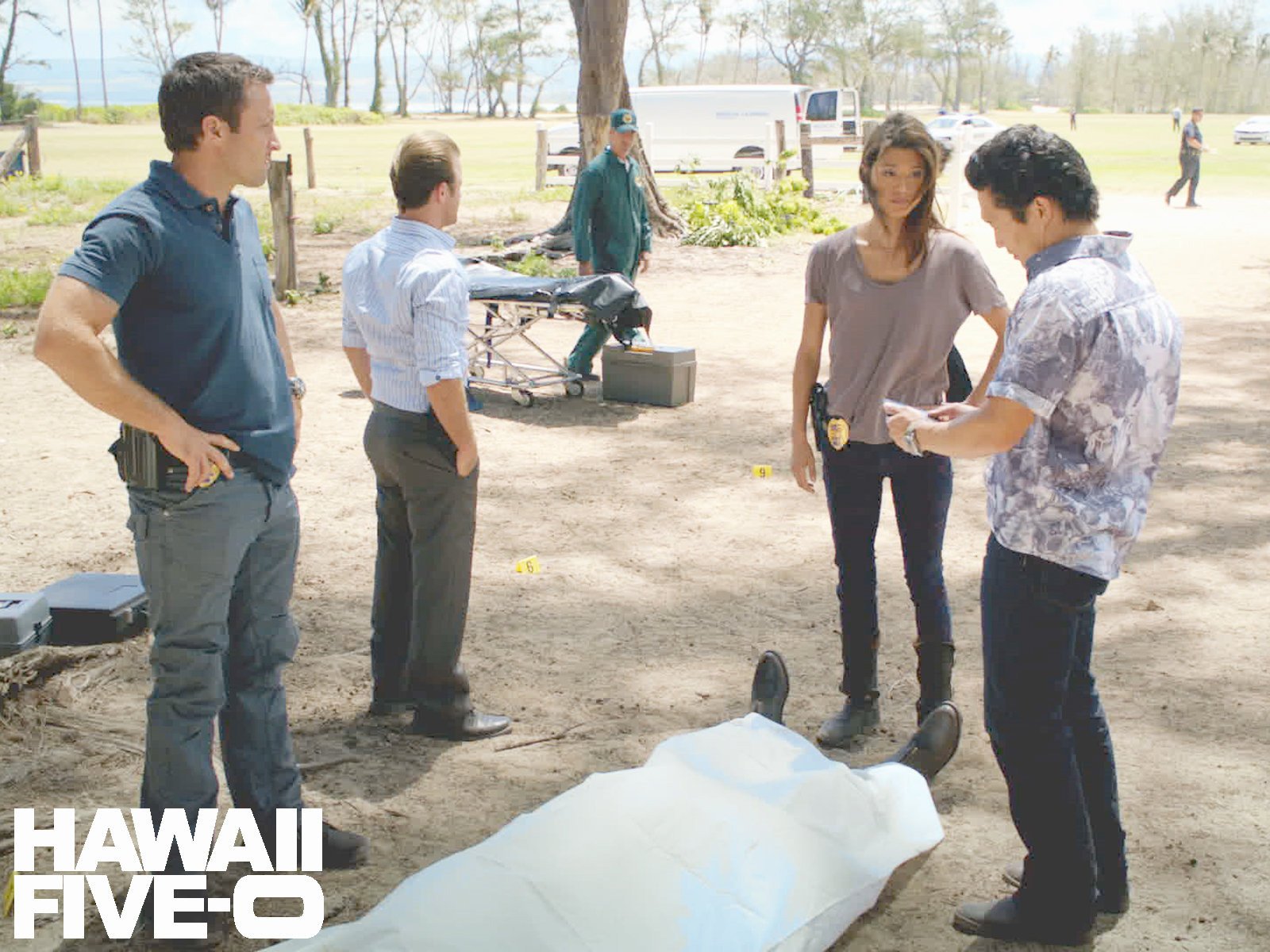 Amazon.de: Hawaii Five-0 - Staffel 3 [OV] ansehen | Prime Video