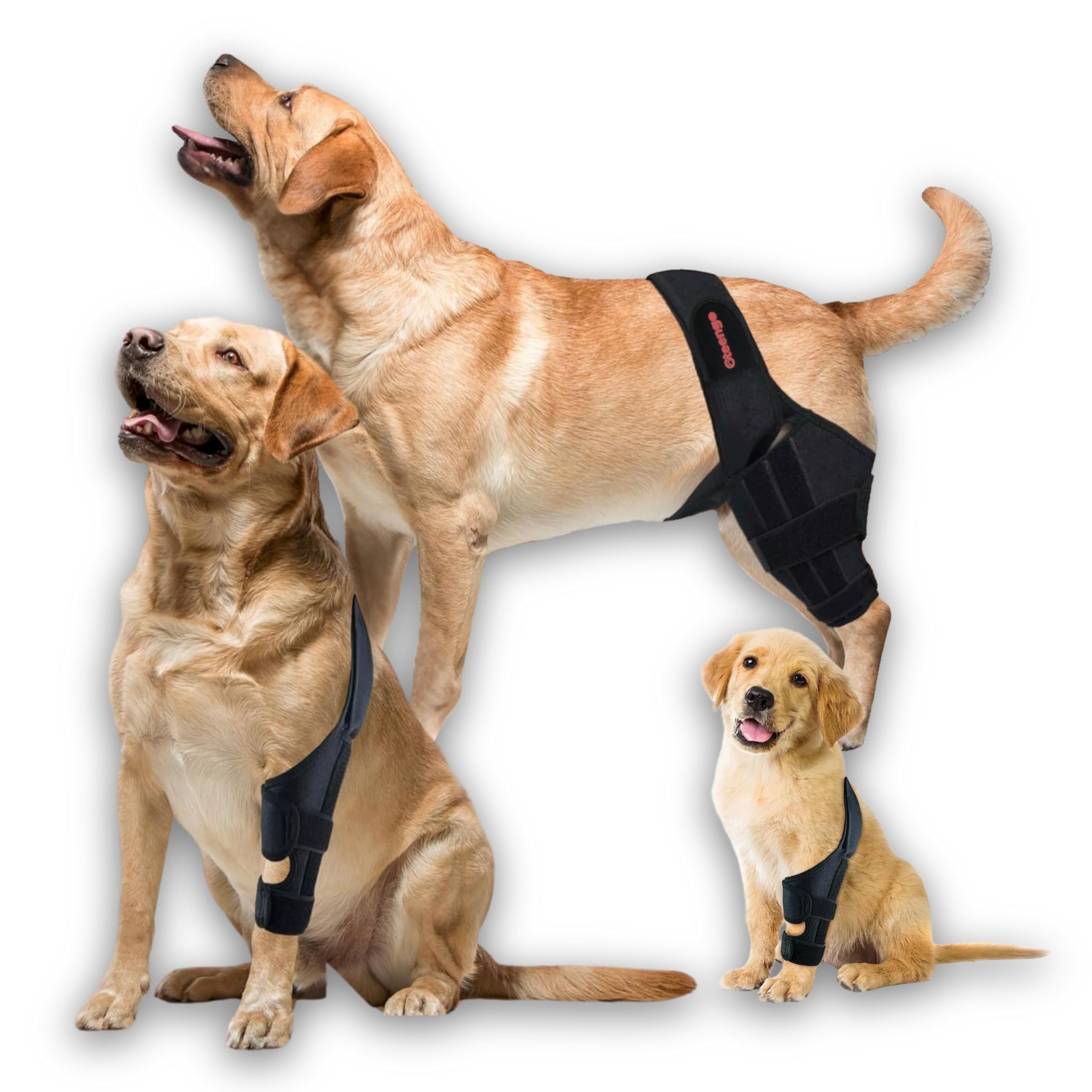 Photo 1 of Oteengo Dog Knee Brace for Torn ACL Hind Leg Dog Knee Braces for Back Leg Torn ACL Knee Brace for Dogs Back Leg Dog ACL Brace Hind Leg Dog Knee Brace for Luxating Patella Leg Support (L)