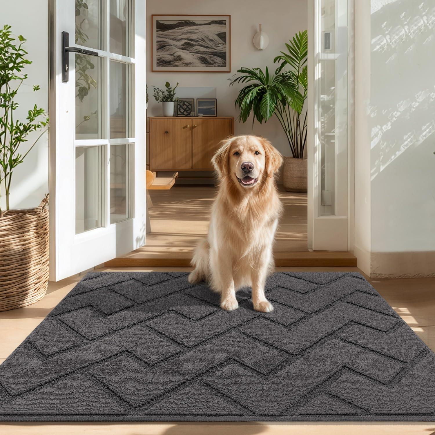 Biscpro Door Mat, 80x100cm DoorMat Indoor Washable, Doormat Indoor Dirt Trapper Non-slip,Absorbent Inside Entrance Rug Mat for Entryway,Patio,Garden,Laundry Room,Pets - Grey