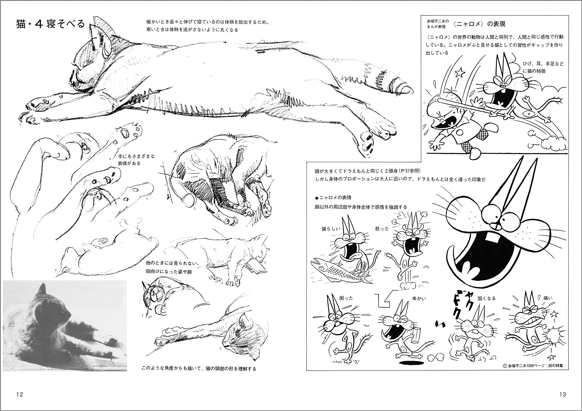 動物スケッチ 1 小動物編 みみずくアートシリーズ 内田 広由紀 本 通販 Amazon