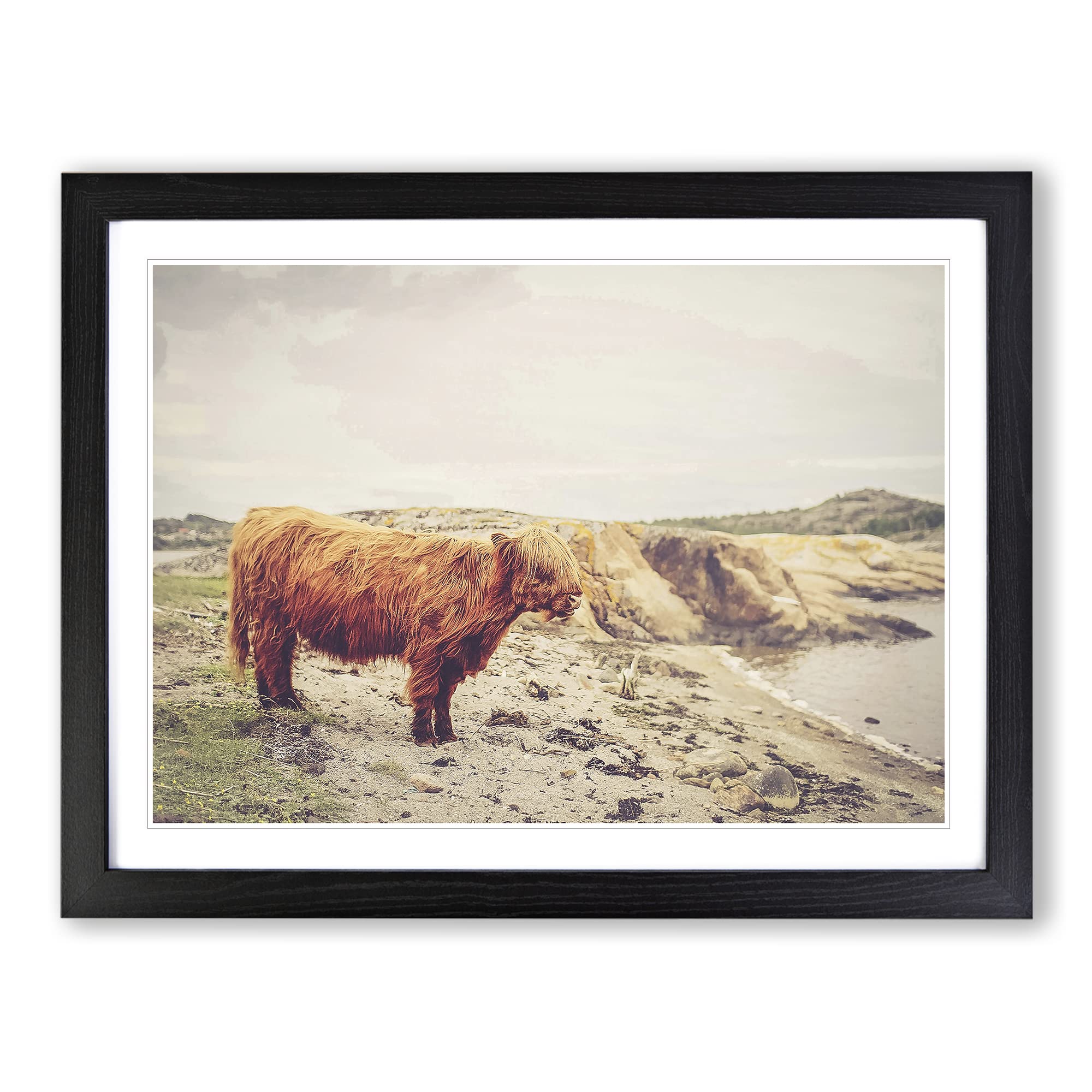 Highland Cow Landscape Modern Framed Print | A4 Black Framed Wall Art | Ready to Hang | Modern Animal Picture | Living Room Bedroom Lounge Office