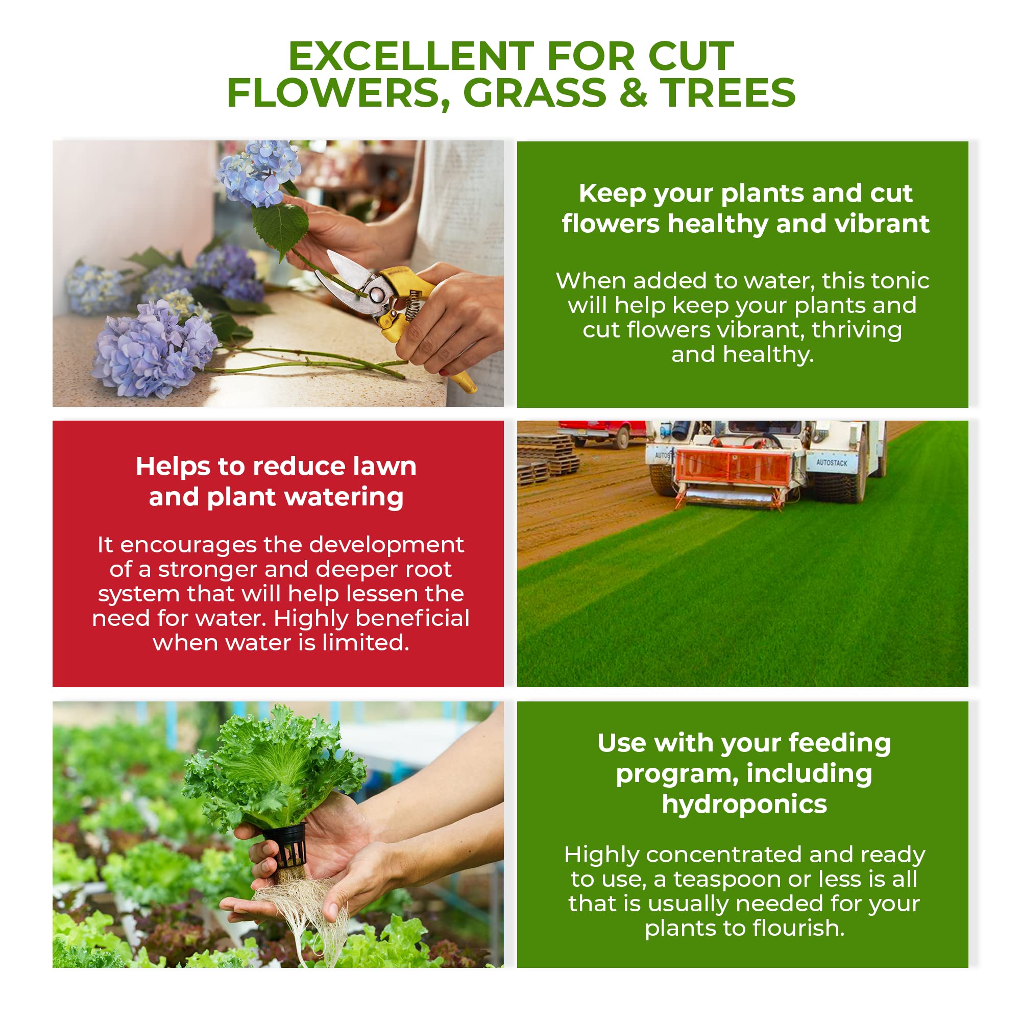 Mua Hormex Vitamin B1 Rooting Hormone Concentrate Rooting Hormone for Hydroponics, Aeroponics