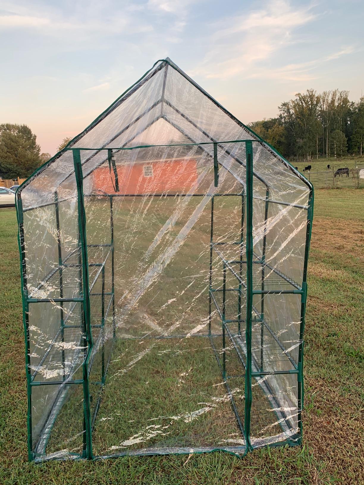 56x56x77 in. Mini Greenhouse with Roll Up Zipper Door & 12 Sturdy