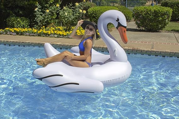 ugly swan float