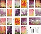 40 Post Stamps Tulip Flowers