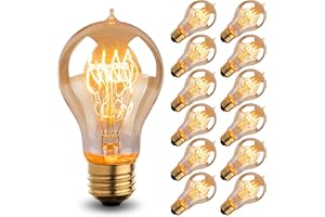 RUNQUIZ Warm Incandescent Light Bulbs 60 Watt,A19/A60 Vintage Style Edison Bulbs E26,Soft Yellow Light Bulbs,Amber Bulbs,Retro Light Bulb Old Fashioned,Halogen Dimmable Edison Bulb Squirrel Cage 12 Pack