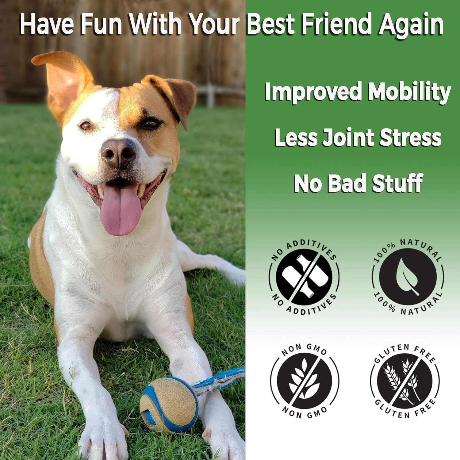 dog hip and joint pain relief