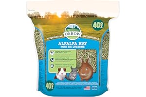 Oxbow Alfalfa, Guinea Pig Hay, Rabbit Hay, Small Pet Bunny Supplies, All Natural Grass for Guinea Pig, Bunny, Chinchilla & Hamster, Rabbit Supplies, Grown in USA, 40 oz Bag