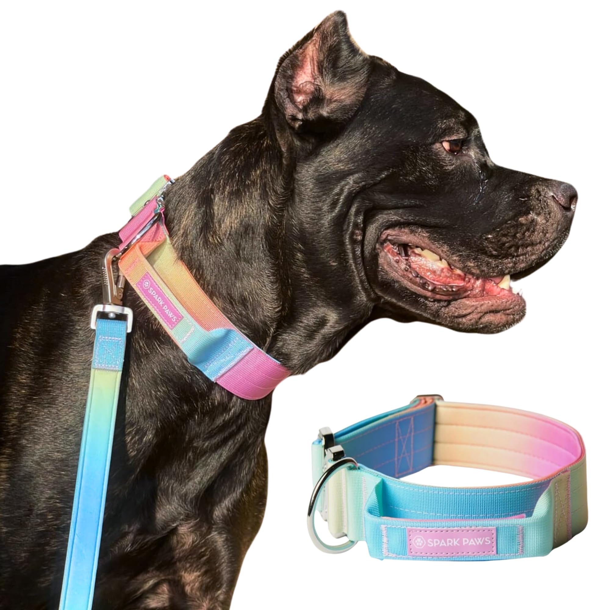 Spark Paws Tactical Dog Collar - Premium Quality Collar, Robust and Durable Design for Large, Strong Breeds - Pitbulls, Boxers - Pastel Icing, L