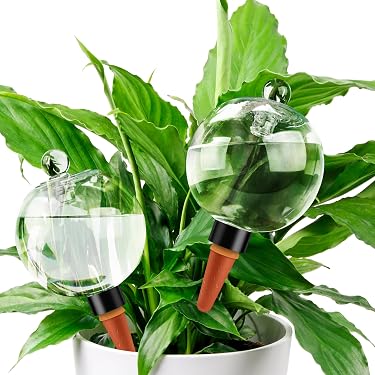 Amazon Best Sellers: Best Self-Watering Stakes