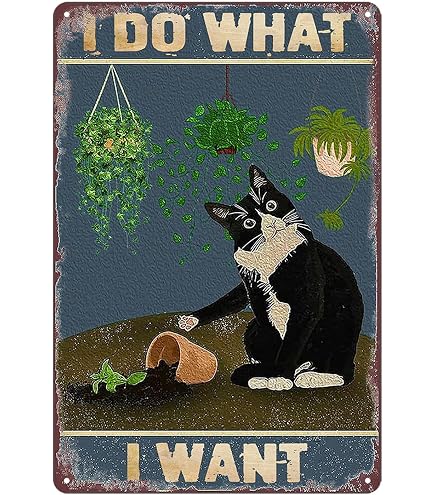 Amazon.com: Vintage Metal Tin Sign - The Cat Poster, Canvas Art