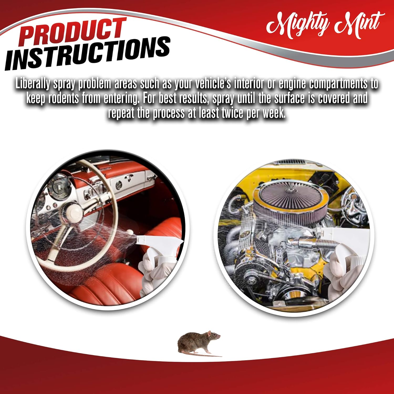 Mighty Mint Rodent Repellent Spray for Vehicle Engines and Interiors - Cars, Trucks, RVs, Boats : Garden & Outdoor