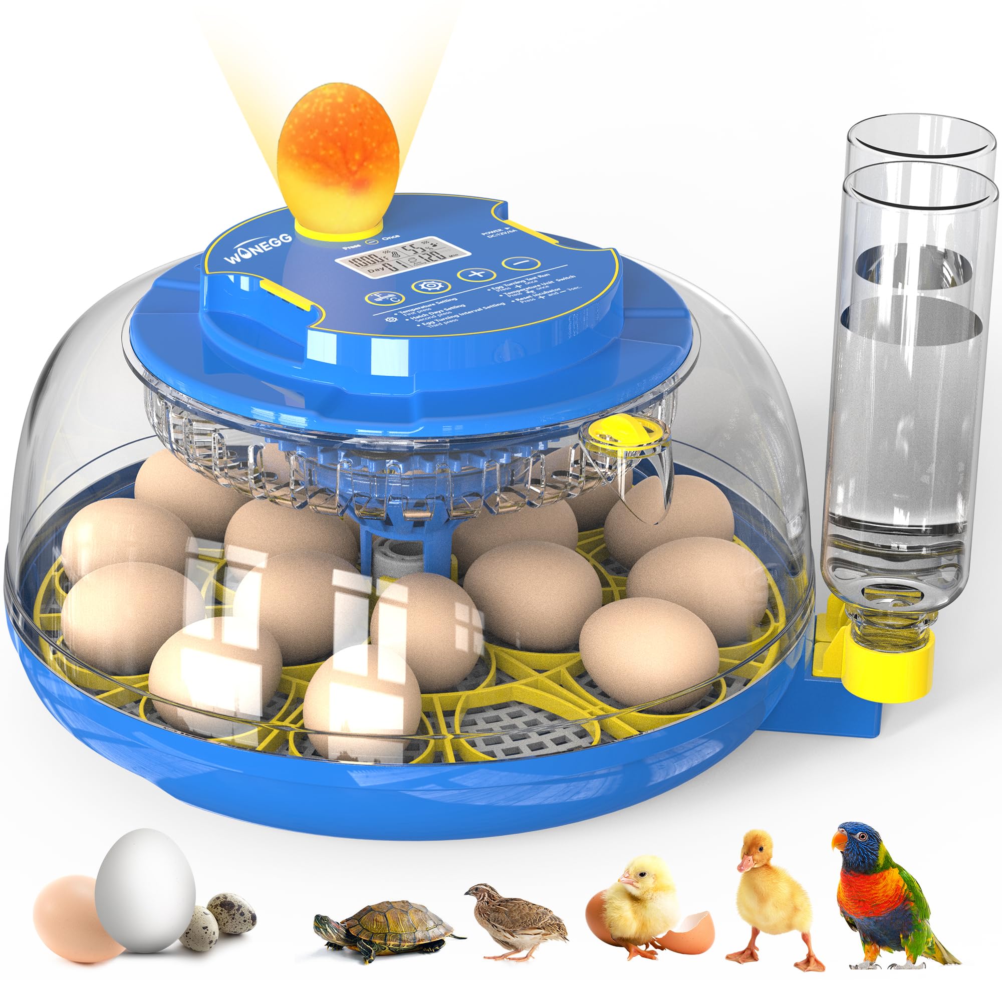 Photo 1 of 18 Eggs Incubator for Hatching Eggs with Automatic Egg Turning and Humidity Control, Egg Candler, External Water Bottle Refill, Hatch Days Display, 360° Clear View, for Chicken Duck Goose Quail Birds