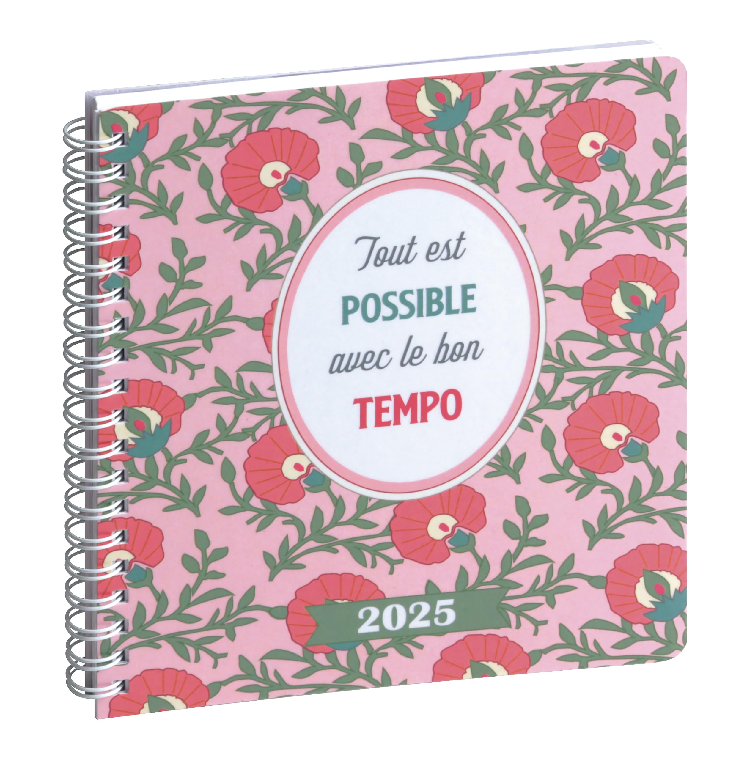 Exacompta - 183435E - Lady 18S Spiral Dodo & Cath Weekly Desk Diary - 15 x 17 cm - January to December 2025 - Visual Possible