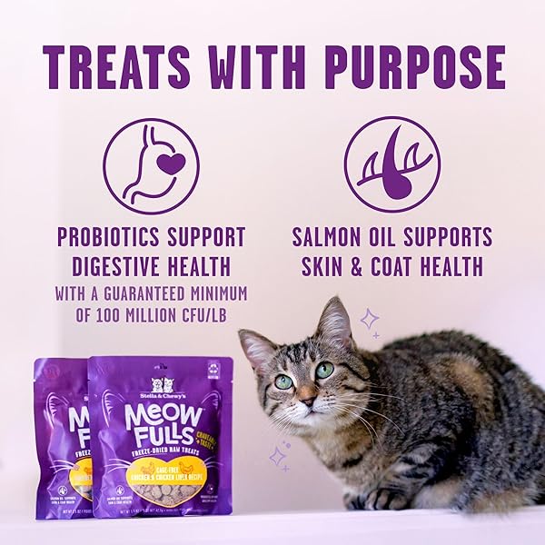 STELLA & CHEWY’S MEOWFULLS FREEZE DRIED CAT TREATS – CHICKEN & CHICKEN LIVER RECIPE – RAW PROTEIN WITH PROBIOTICS & SALMON OIL – 1 CALORIE PER TREAT – 1.5 OZ