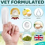 EcoEarth Premium Teeth Cleaning Wipes for Dogs & Cats 50 Pcs view 3