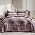 RECYCO Luxury Velvet Quilt Set Full Queen Size Bedding Sets, Ultra Soft Velvet Comforter Set, Lightweight Channel Box Stitch Oversized Bedspread Coverlet for All Season, with 2 Shams, Purple