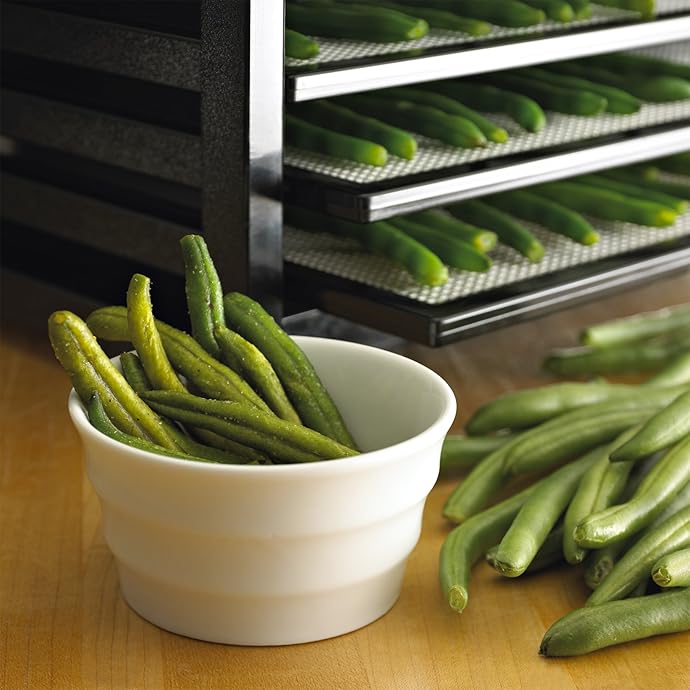 金盒特价 美国产 Excalibur 3926TB 9层食品脱水机 食品干燥机 6.5折1.99 海淘转运到手约¥2101