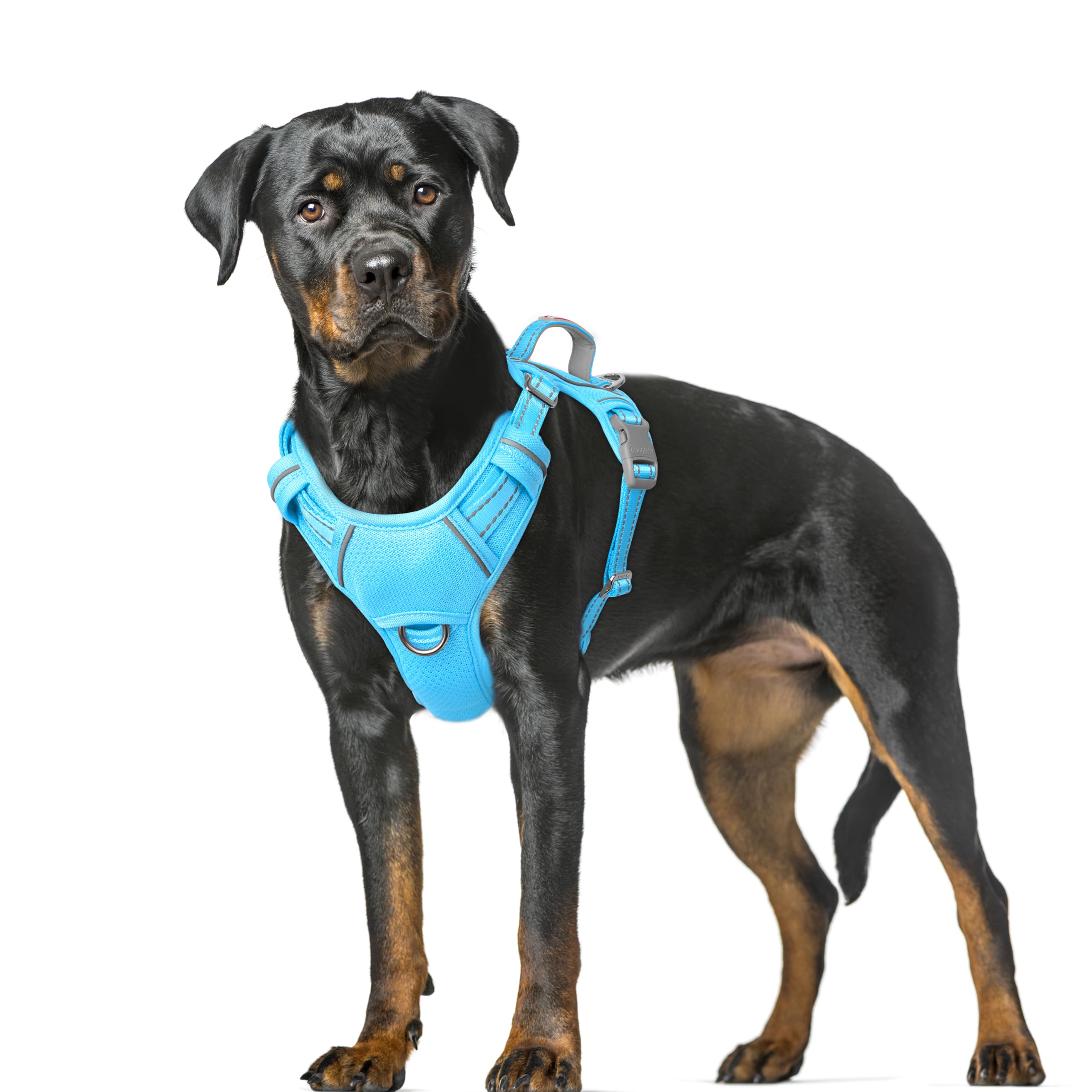 BARKBAY No Pull Dog Harness Large Reflective Dog Harness with Front Clip and Easy Control Handle for Walking Training Running with ID tag Pocket(Blue,XL)