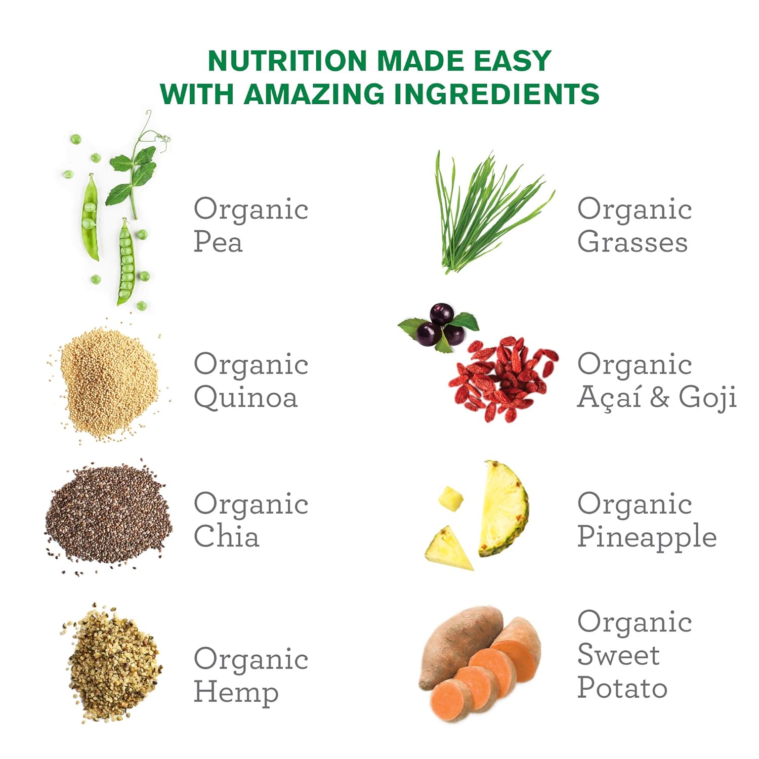 Amazing Grass Protein Superfood: Vegan Protein Powder, All in One Nutrition Shake, Unflavored, 12 Servings : Grocery & Gourmet Food