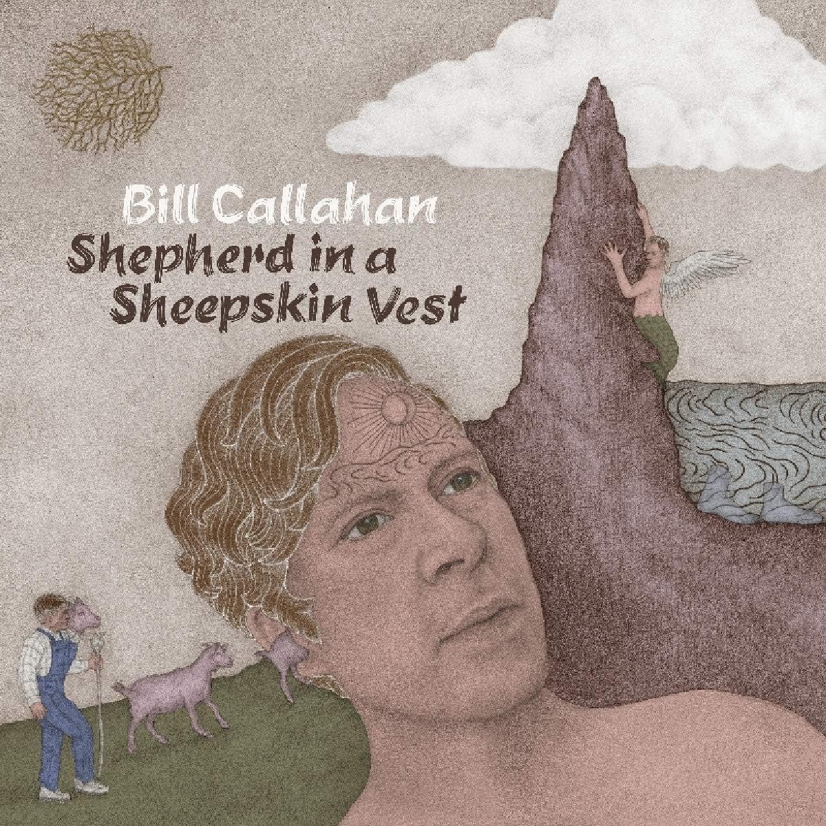 Shepherd in a Sheepskin Vest, multicoloured