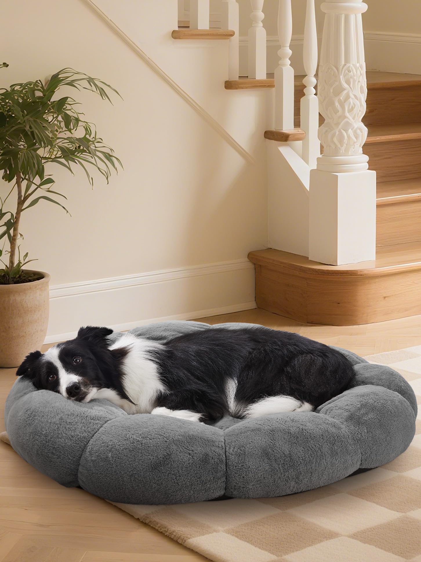 OhGeni 36 inches Calming Donut Orthopedic Dog & Cat Bed for Large Pets, Warming Comfort Fluffy Short Pile Fur, Durable Waterproof Machine Washable Removable Cover, Cute Round Bed for Puppy, Dark Gray Image