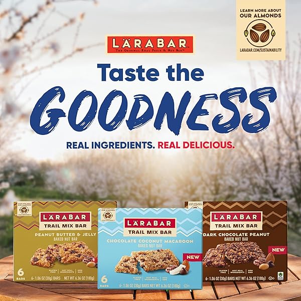 LARABAR TRAIL MIX BARS, CHOCOLATE COCONUT MACAROON, GLUTEN FREE BAKED NUT BAR, 6 COUNT, 6.36 OZ