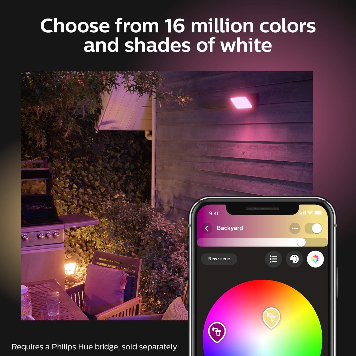 Philips Hue Discover Outdoor White & Color Ambiance Smart Floodlight (Hue Hub Required, Smart Light Works with Alexa, Apple Homekit and Google Assistant): Home Improvement
