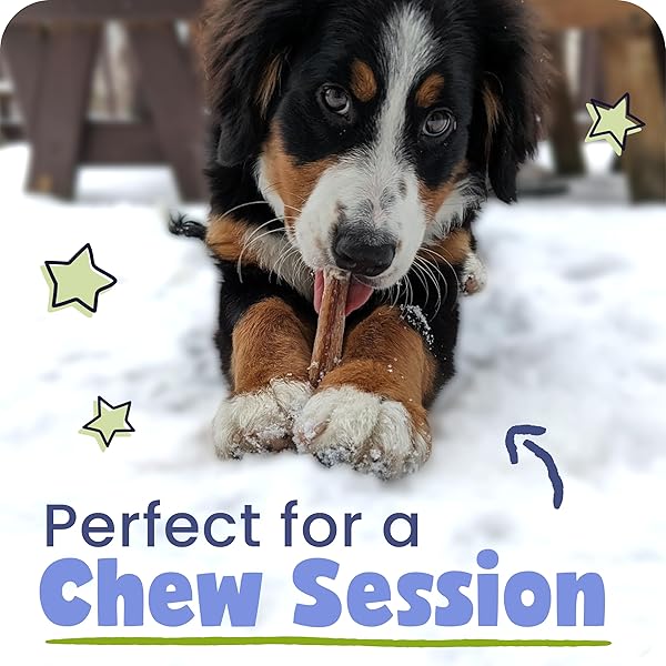 PAWSTRUCK NATURAL 8–12″ BULLY STICKS FOR DOGS – LONG-LASTING, RAWHIDE-FREE, LOW-ODOR, GRAIN-FREE DENTAL CHEW TREAT – SINGLE INGREDIENT, 100% REAL BEEF – 1 LB BAG – PACKAGING MAY VARY