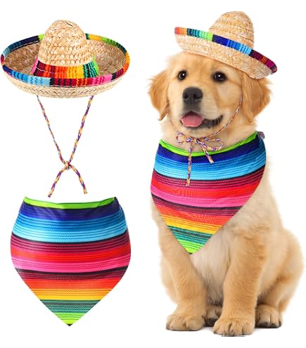 Rubie's Mini Sombrero Hut Für Haustiere – Einheitsgröße, Lustiges Kostüm Für Hunde & Katzen