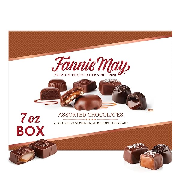 FANNIE MAY, MILK AND DARK CHOCOLATE HOLIDAY GIFTS, ASSORTED CHOCOLATES, CHOCOLATE GIFT BOX, 7 OZ