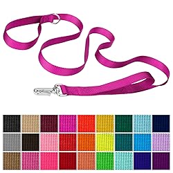 Country Brook Petz - Deluxe Nylon Dog Leash with