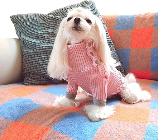 maltese sweater