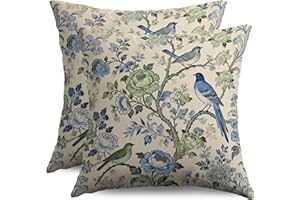 Blue Green Chinoiserie Pillow Covers 18x18 Set of 2, Vintage Bird Floral Decorative Throw Pillowcases Flower Retro Outdoor De