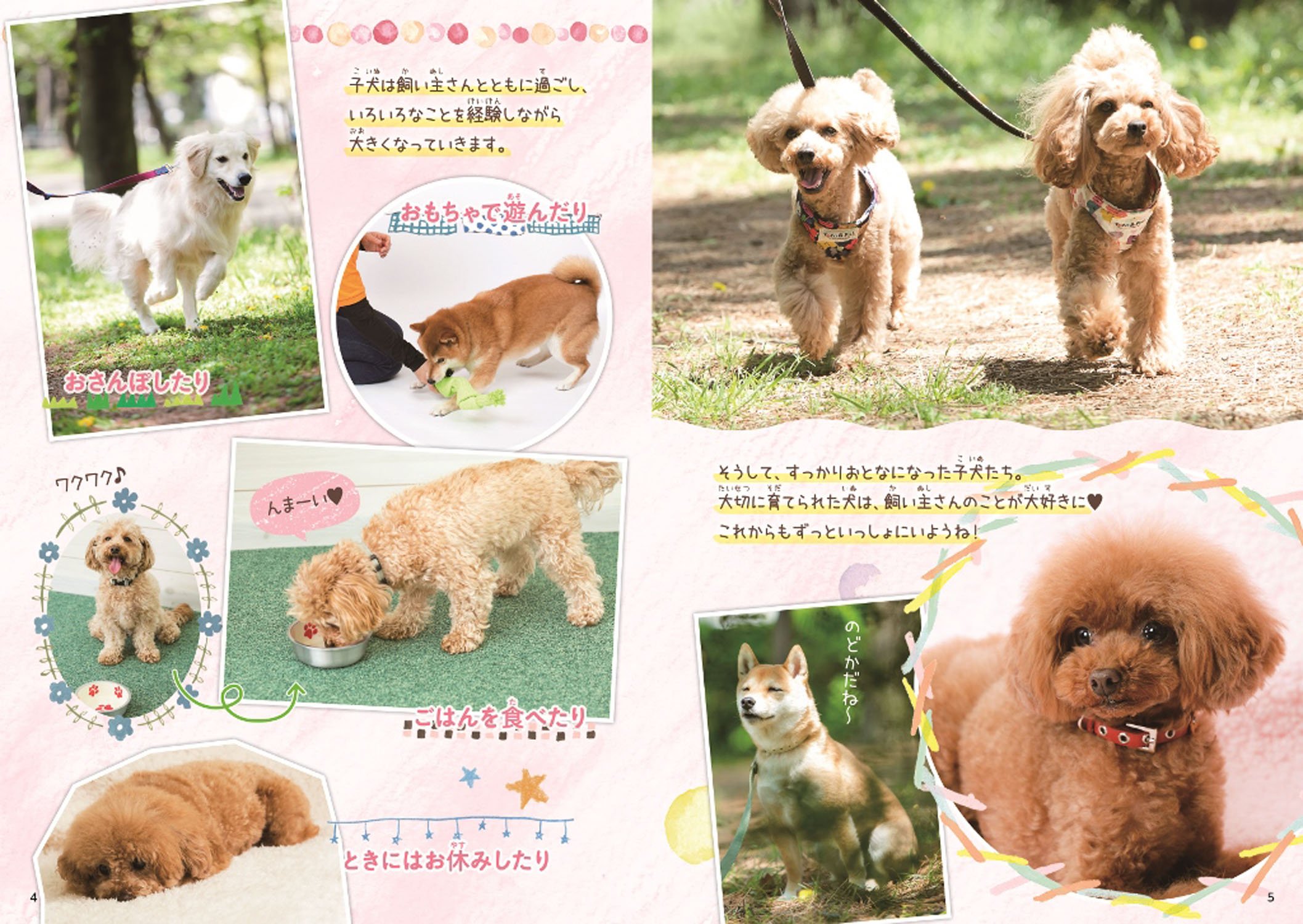 犬がおうちにやってきた 動物の飼い方がわかるまんが図鑑 亮 井原 本 通販 Amazon